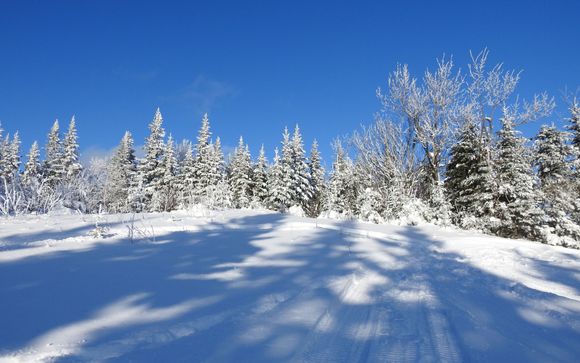 Im Angebot enthalten