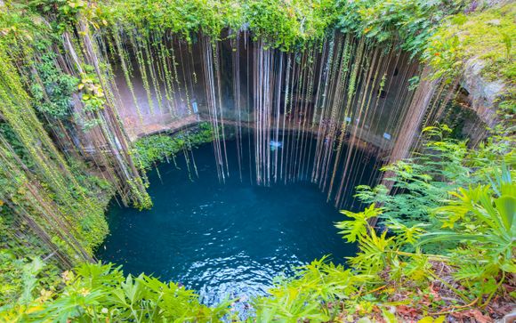 Ihre Reise im Detail