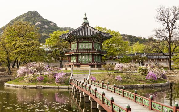 Ihre Reise im Detail