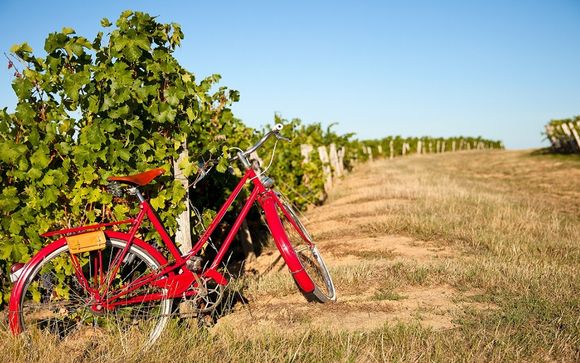 Ihre 4-Nächte-Tour im Detail