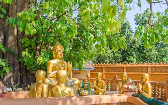 Ihre Rundreise im Detail