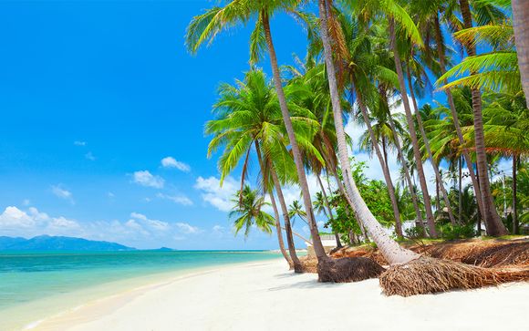 Willkommen auf... Koh Samui!