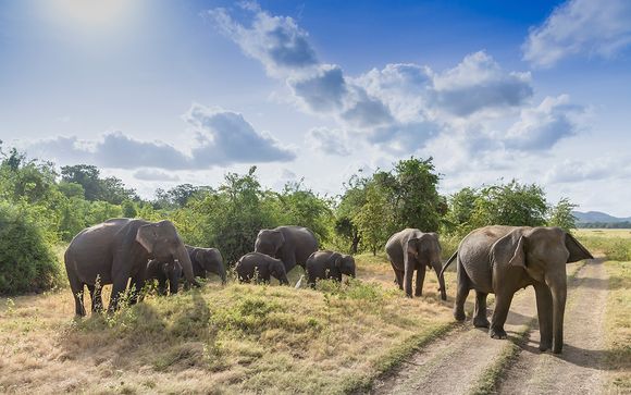 Ihre Rundreise im Detail