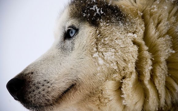 Ihre optionalen Exkursionen