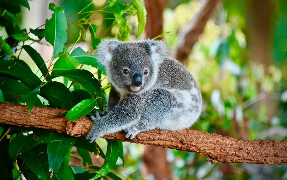 Autotour - Empfohlene Reiseroute