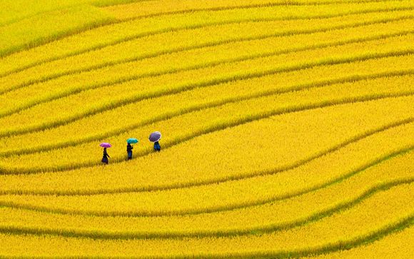 Ihre Rundreise im Überblick