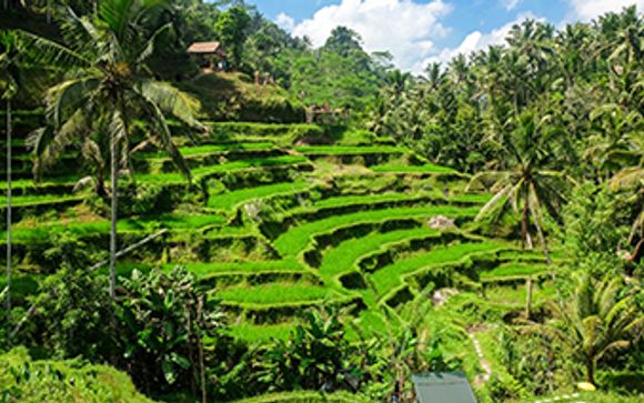 Willkommen auf... Bali!