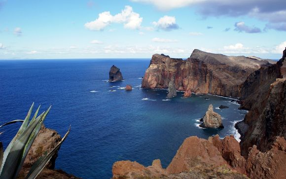 Willkommen auf... Madeira!