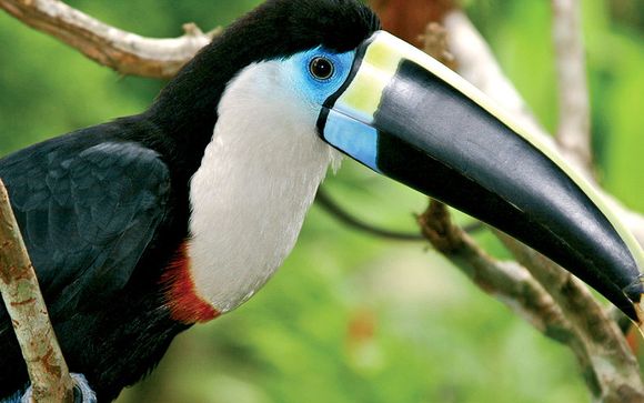 Willkommen in... Peru!