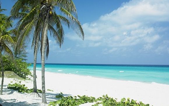 Cayo Santa Maria - Dhawa Cayo Santa Maria 4*S