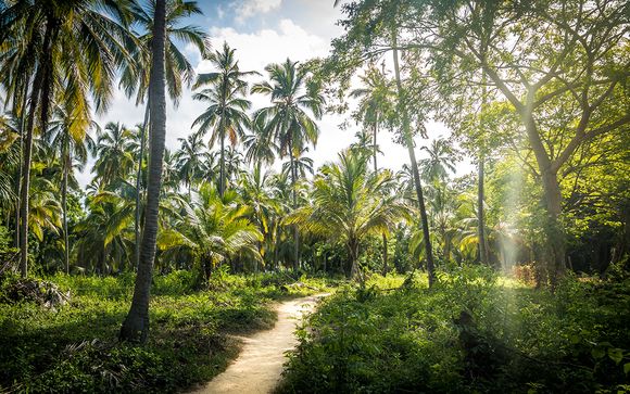 Ihre Rundreise im Detail