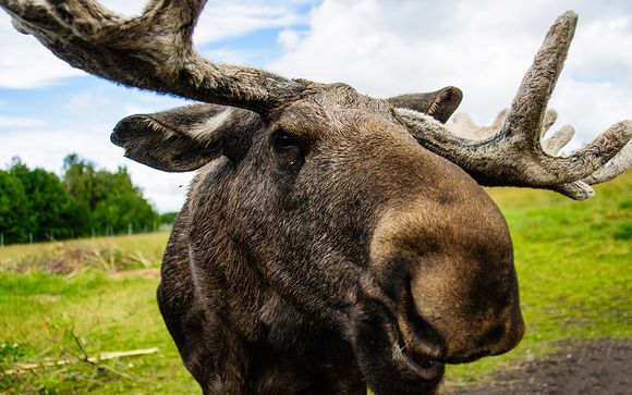 Unsere kleinen Tipps für einen idealen Aufenthalt