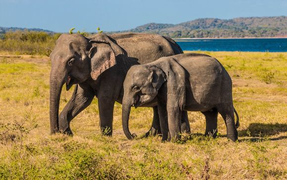 Ihre Rundreise im Detail