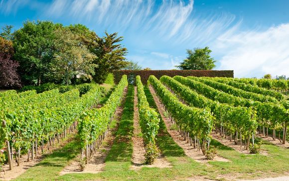 Ihre 6-Nächte-Tour im Detail