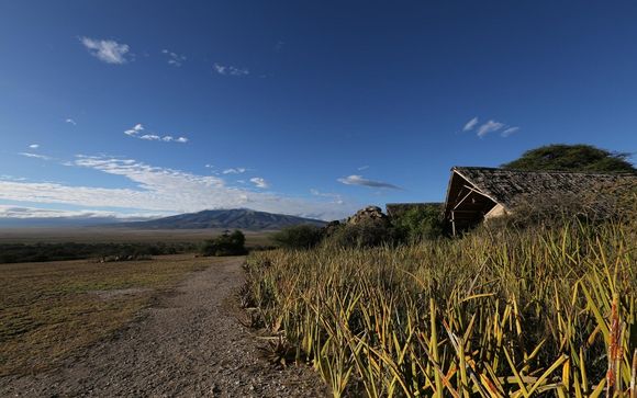 Ihre Rundreise im Detail