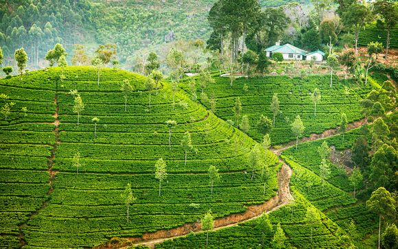 Ihre Rundreise mit 7 Nächten