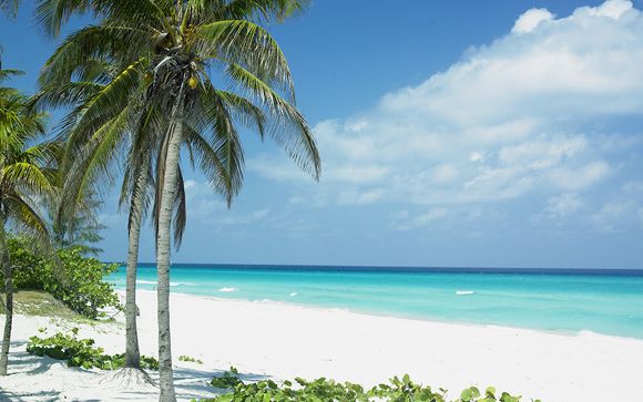 Willkommen in... Kuba!