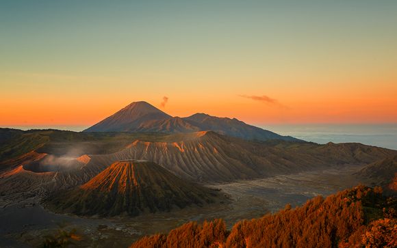 Ihre Rundreise im Detail