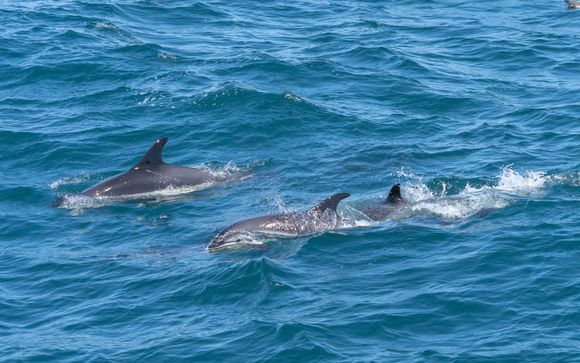 ¡Completa tu estancia!