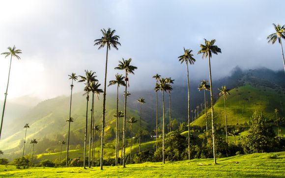Tu itinerario de viaje