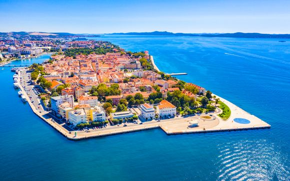 Tus opciones incluidas