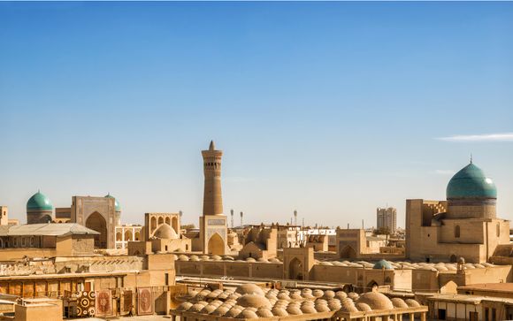 Tus opciones incluidas