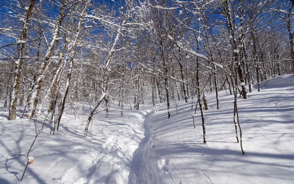 ¡Completa tu estancia!