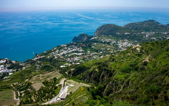 Tu actividad incluida