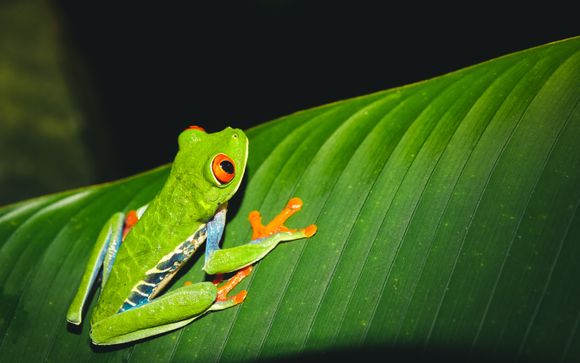 ¡Completa tu estancia!