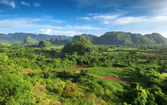 ¡Completa tu estancia!