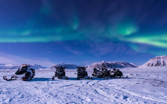 Tus opciones incluidas