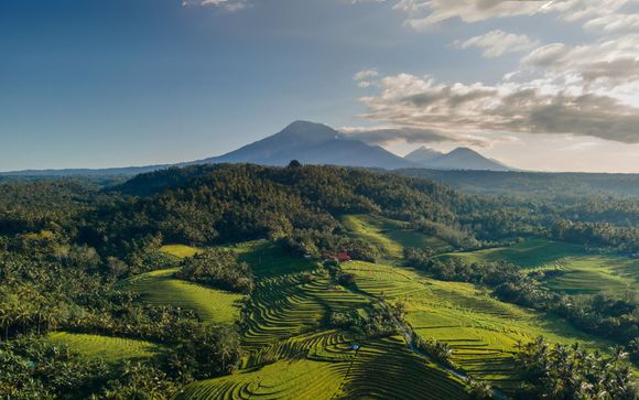 Tu itinerario de viaje