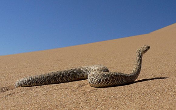 ¡Completa tu estancia!