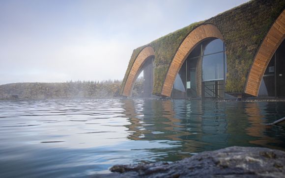 ¡Tu actividad incluida!