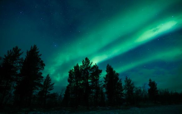 Tus opciones incluidas