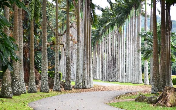 ¡Completa tu estancia!