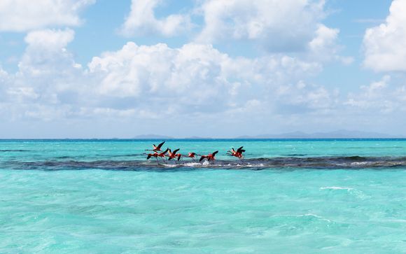 ¡Completa tu estancia!