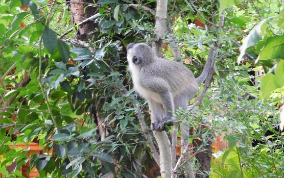 Kruger Maroela Lodge & Spa 