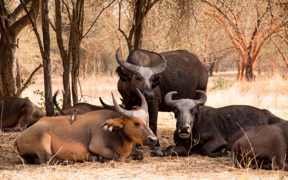 ¡Completa tu estancia!