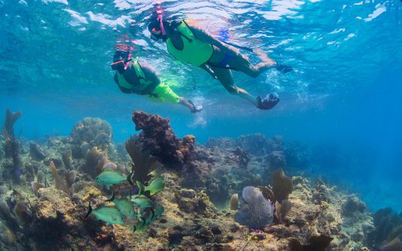 Tu actividad incluida