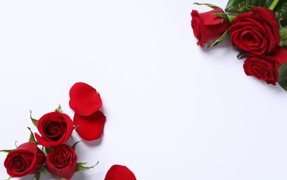 ¡Completa tu estancia!