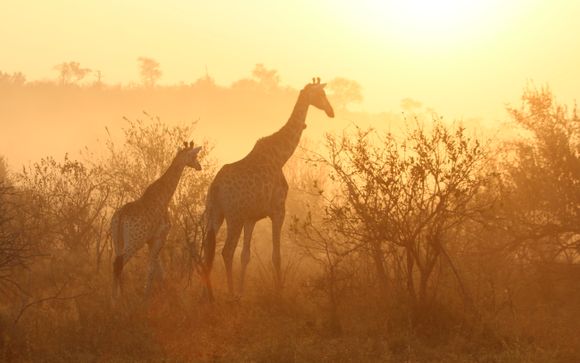Estancia de 7 noches