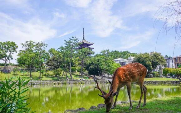 ¡Completa tu estancia!