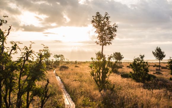 ¡Completa tu estancia! 