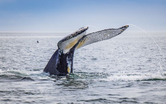 ¡Completa tu estancia!