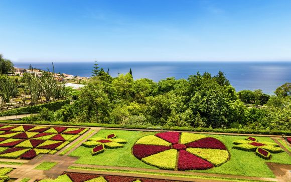 Funchal, en Madeira, te espera