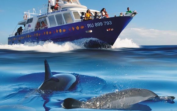 Safari de delfines (2h)