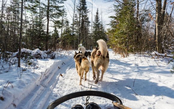 Tu itinerario de viaje
