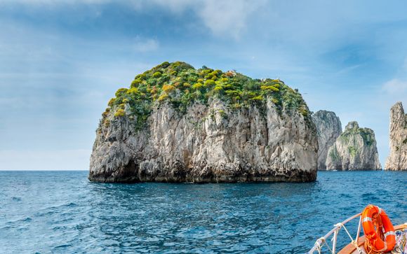 ¡Tu actividad incluida!