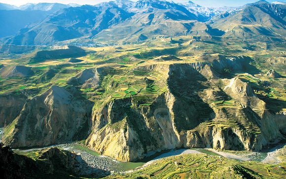 ¡Completa tu estancia!